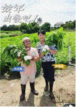 高清综艺《光影漫谈》电影访谈节目
